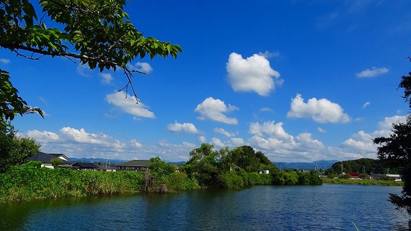 京徳池の雲