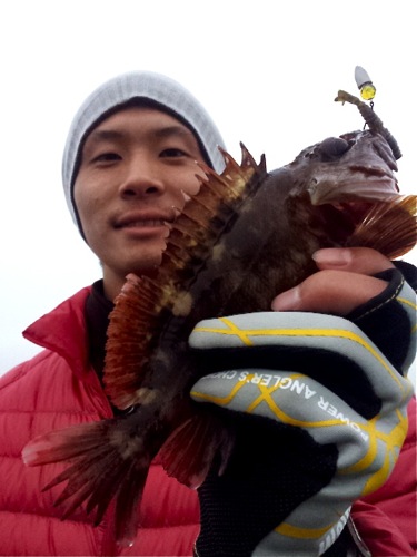 ROCKFISH☆浜名湖ガイド