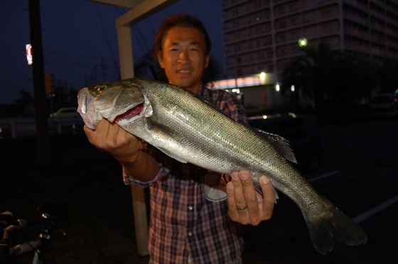 秋の定番!☆レンジドライブ・Megabass