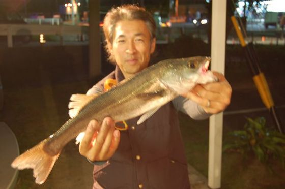 レンジドライブ☆浜名湖オカッパリ調査