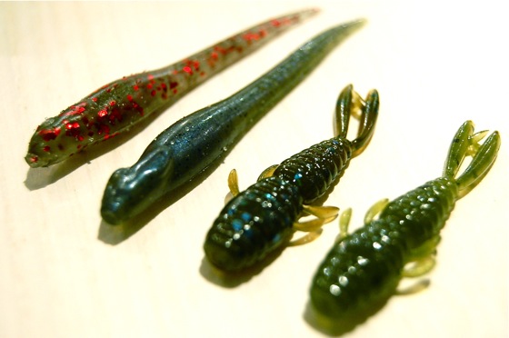 ROCKFISH☆浜名湖ガイド