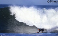 CHANNEL ISLANDS SURFBOARDS