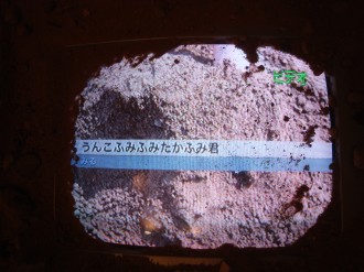 こんな大人になりたいな。