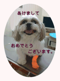 明けましておめでとうございます。