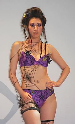 【画像】Triumph Inspiration Award 2009 日本大会 蜘蛛と蝶