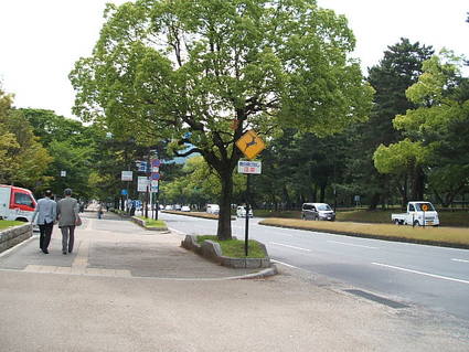 奈良公園前の道路