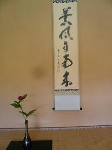 茶摘み