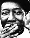 MUDDY　WATERS