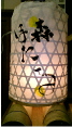 森ほたる小