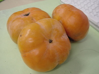 食前の次郎柿
