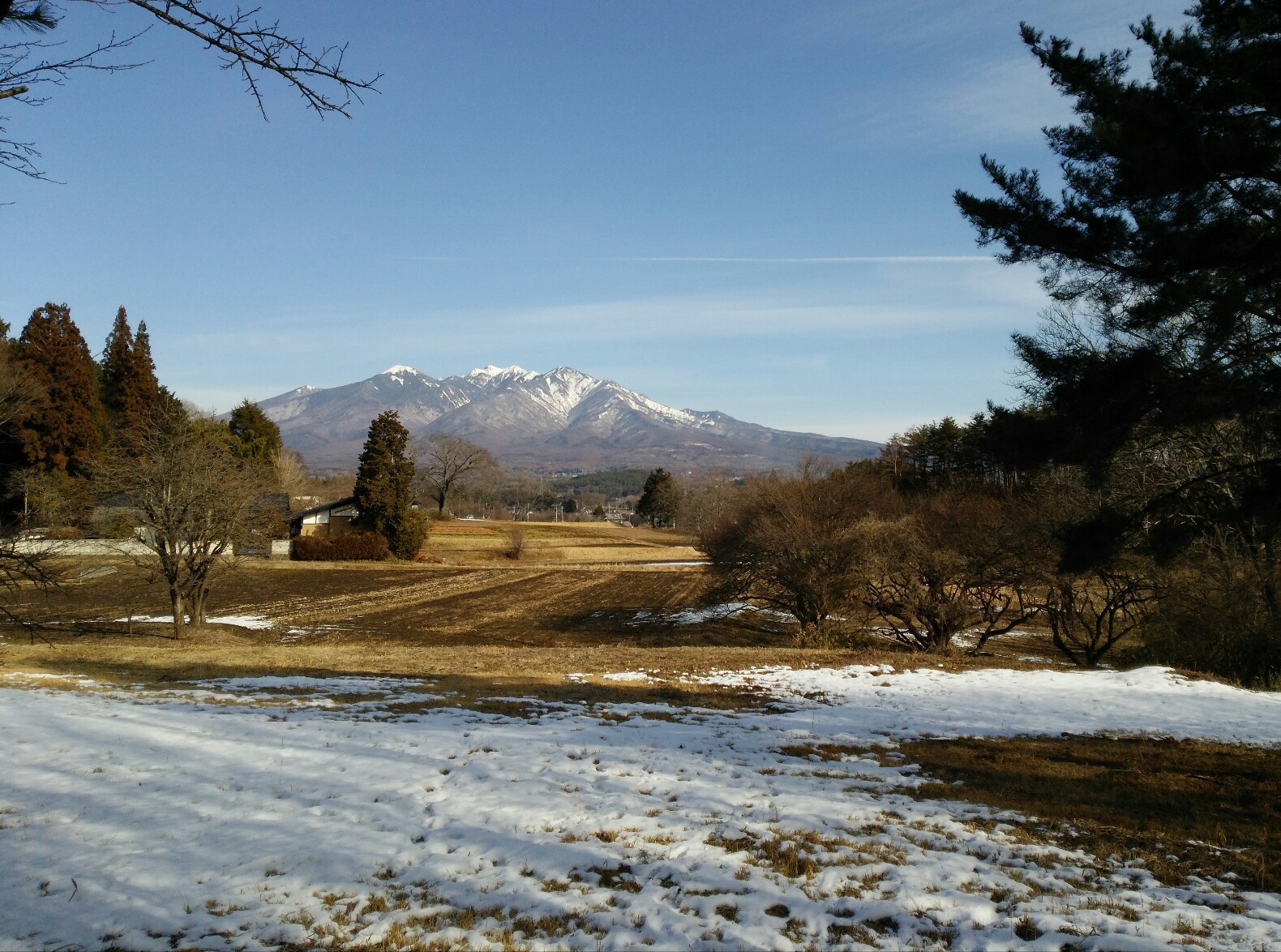 厳しい自然 厳しい自然