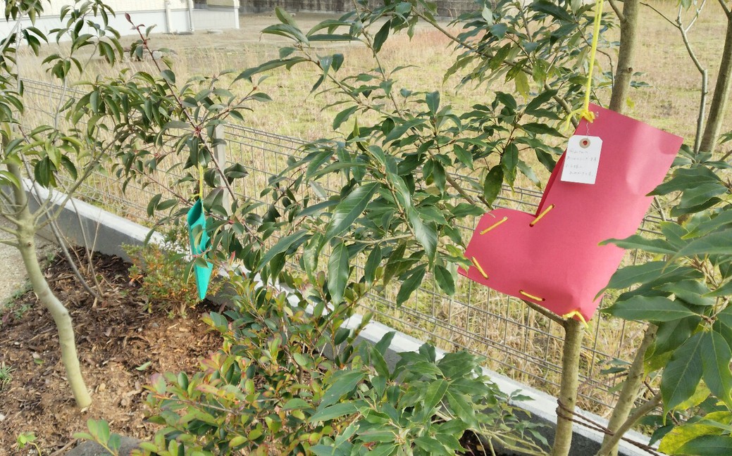 素敵なプレゼント 素敵なプレゼント