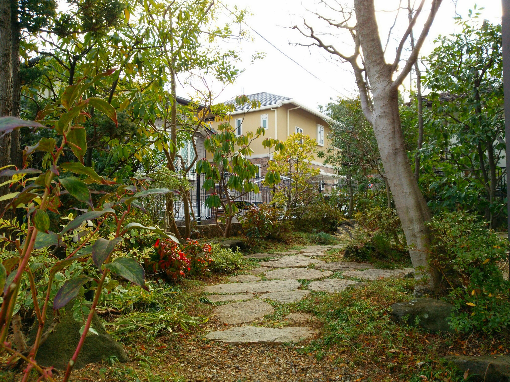 13年 13年