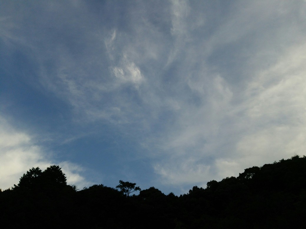 秋風 秋風
