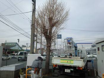 腑に落ちない・・・。