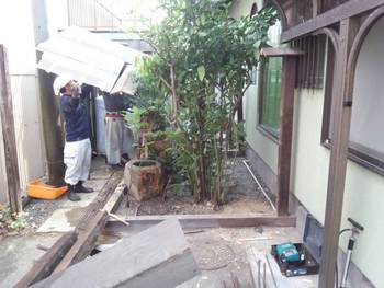 坪庭模様替え。