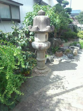 100年もの。