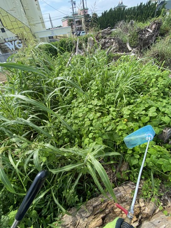 除草剤散布 除草剤散布