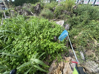 除草剤散布 除草剤散布