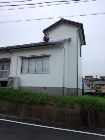 屋根の樋(とい)掃除。