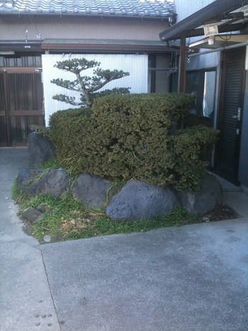 芝生にしたよ。