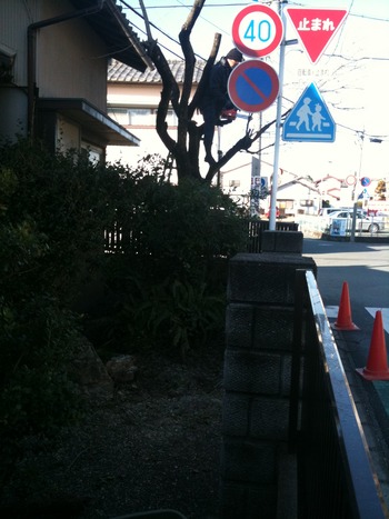 サヨナラ★おやつ。