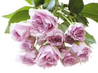 お誕生日おめでとう!