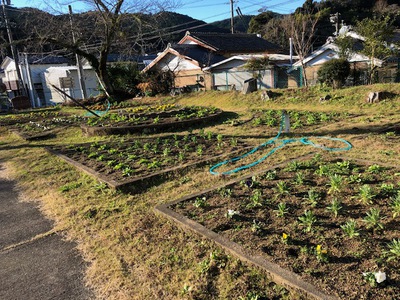 旧伊平小学校 旧伊平小学校