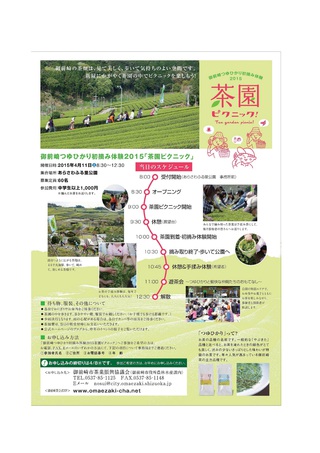御前崎つゆひかり初摘み体験2015茶園ピクニック　開催！
