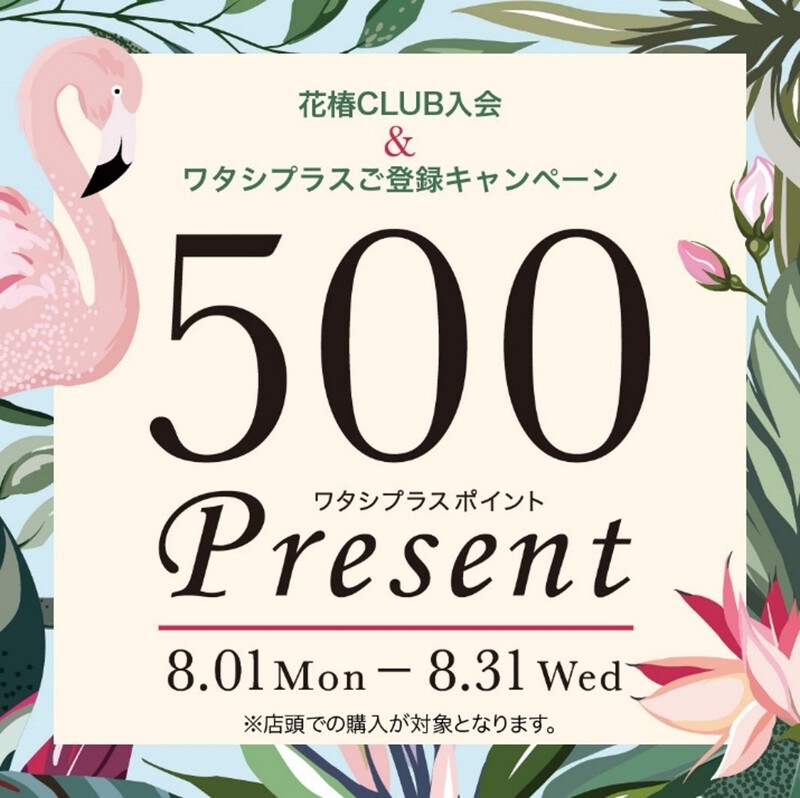 資生堂ワタシプラス登録&花椿CLUB登録キャンペーン! 資生堂ワタシプラス登録&花椿CLUB登録キャンペーン!
