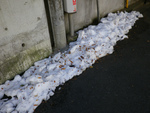 まだ雪が