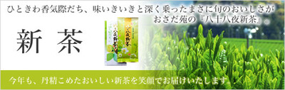 ☆新茶ダイレクトメールとCMのお知らせ☆