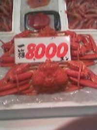 8000円が・・・