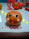 素敵なみかん