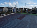 屋根でおきな音が!