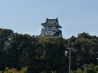 遠江のお城