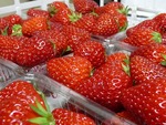 まだイチゴあり