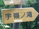 涼を求めて