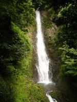 涼を求めて