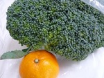 菱形の穴