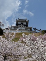 城とさくら