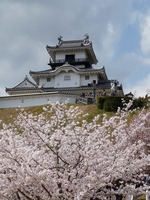城とさくら