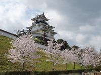 城とさくら