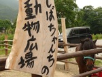 うま