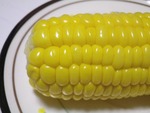 みらい