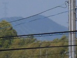 85.5倍