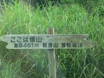 浜松市懐山