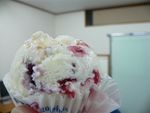 昨日のふくろいブログ村
