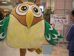 ジャスコでフーちゃん♪