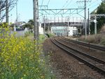 線路
